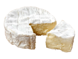 Camembert Fromgi