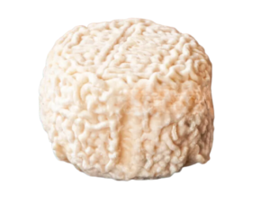 Crottin de Chavignol Fromgi