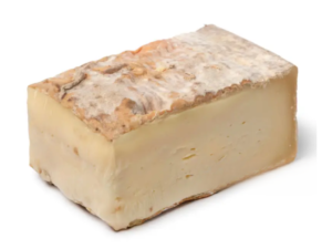 Taleggio Fromgi