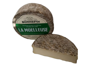 Tomme Bonnefoi d'Auvergne Fromgi