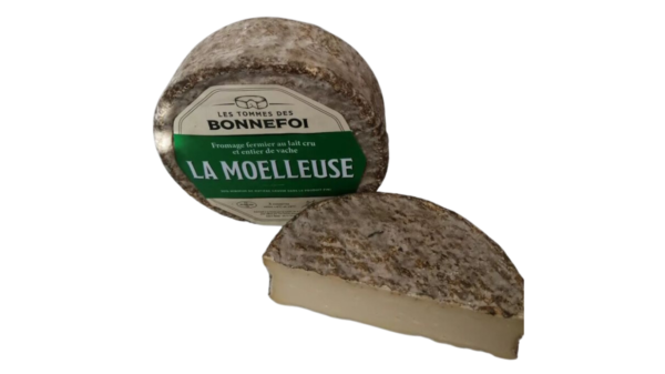 Tomme Bonnefoi d'Auvergne Fromgi